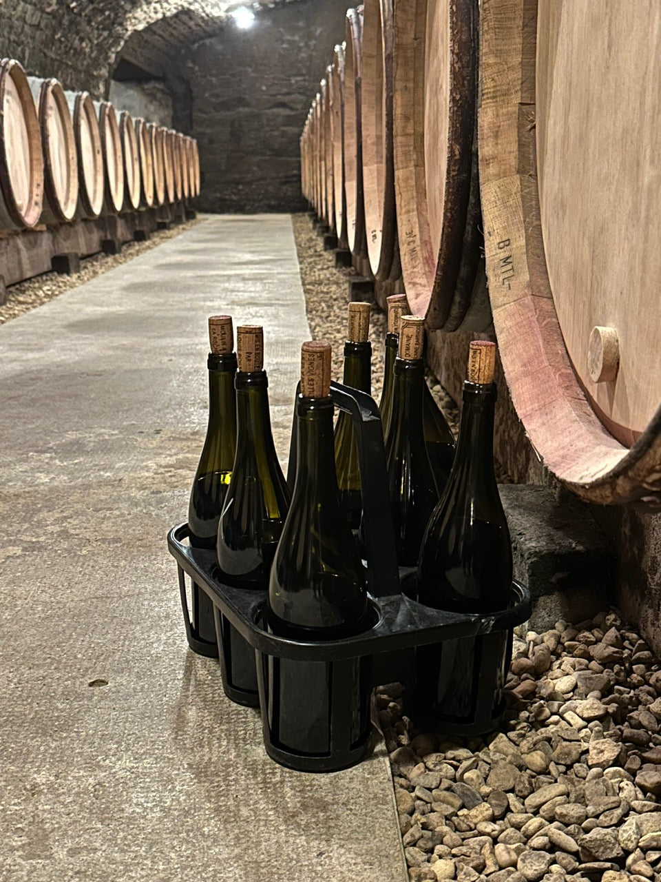 Domaine Louis Boillot (Chambolle-Musigny)