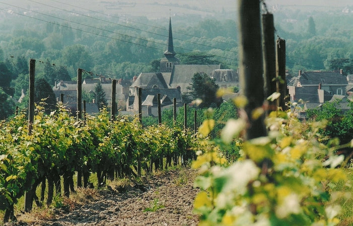 Domaine du Closel (Savennières)