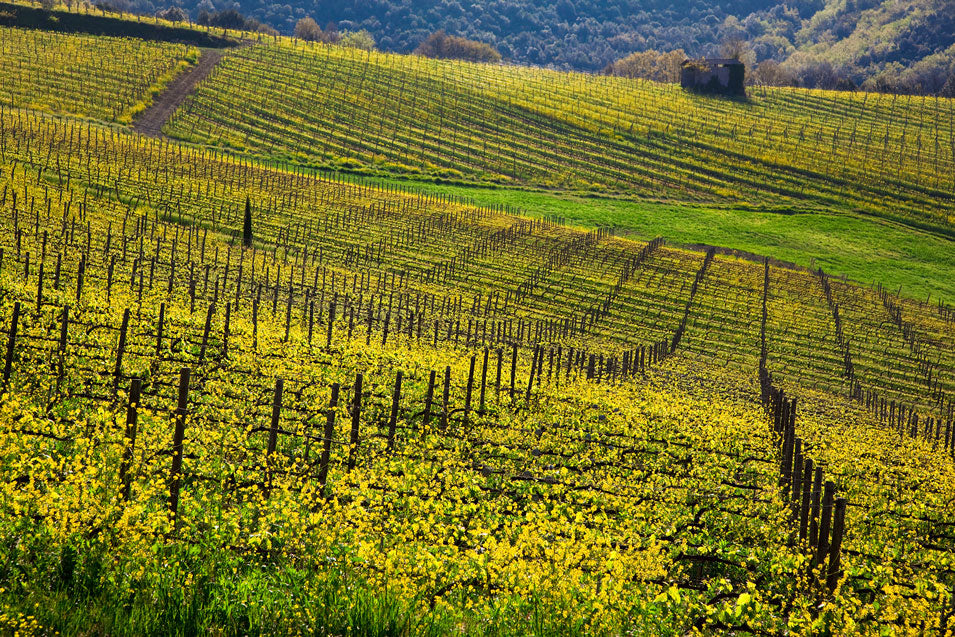 Lombardy