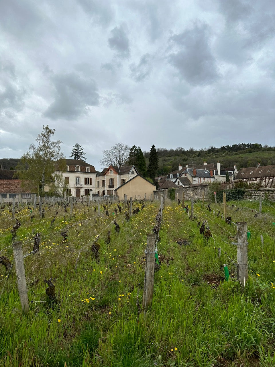 Côte de Nuits