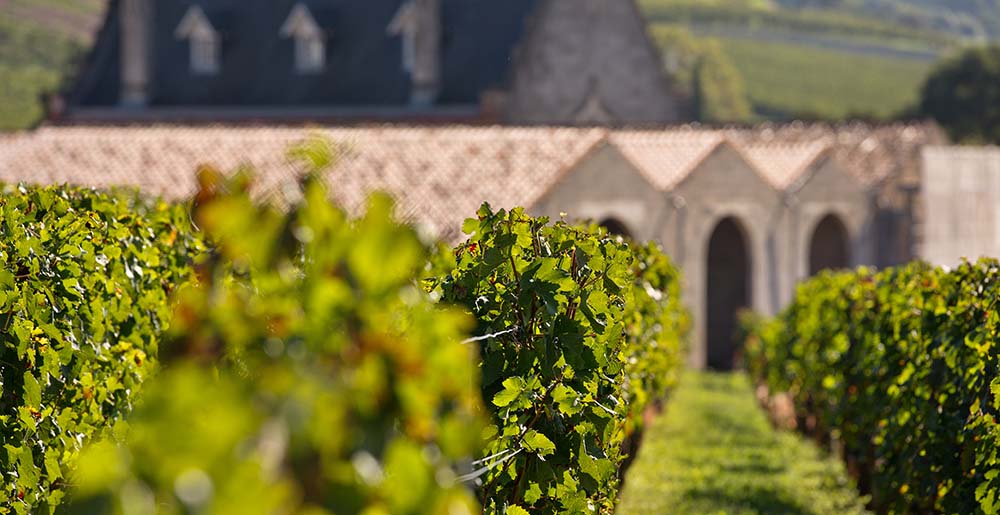 Chateau de Malet Roquefort (Saint-Emilion)